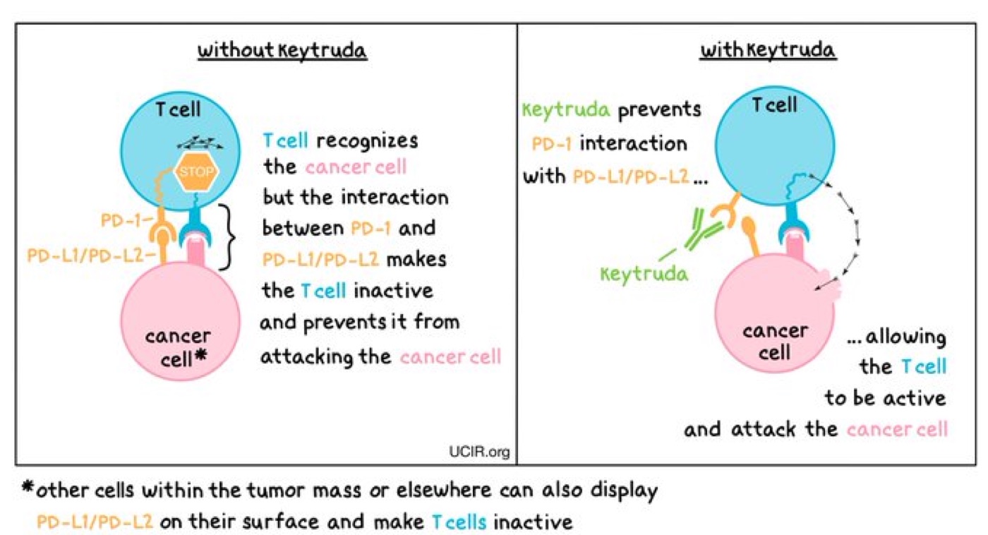 Space is going to cure cancer — figure 3